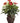 "Artificial Silk Plant with Mixed Greens and Anthurium in a Decorative Vase by " - Premium  from Prestige Home Accents - Just $121.42! Shop now at Prestige Home Accents