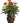 "Artificial Silk Plant with Mixed Greens and Anthurium in a Decorative Vase by " - Premium  from Prestige Home Accents - Just $114.27! Shop now at Prestige Home Accents