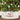 27In White Christmas Tree Collars for Pencil Trees, Adjustable Metal Christmas Tree Stand Cover for 6-7.5 Ft Tree, Farmhouse Christmas Tree Basket for Pencil | Artificial | Live Trees - Premium  from Prestige Home Accents - Just $74.99! Shop now at Prestige Home Accents