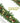 9 FT by 12 Inch Prelit Christmas Garland with 50 Warm Lights, Battery Operated Xmas Garland with Pine Cones and Timer, Front Door Mantle Garland Christmas Holiday Decoration Indoor Outdoor - Premium  from Prestige Home Accents - Just $27.49! Shop now at Prestige Home Accents