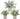 "Set of Three Mini Potted Artificial Eucalyptus Plants - Ideal for Enhancing Home, Office, Desk, or Farmhouse Room Decor" - Premium  from Prestige Home Accents - Just $36.07! Shop now at Prestige Home Accents